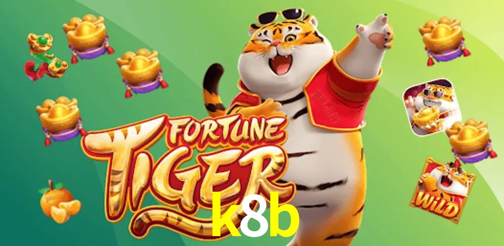 Bonus Features k8b